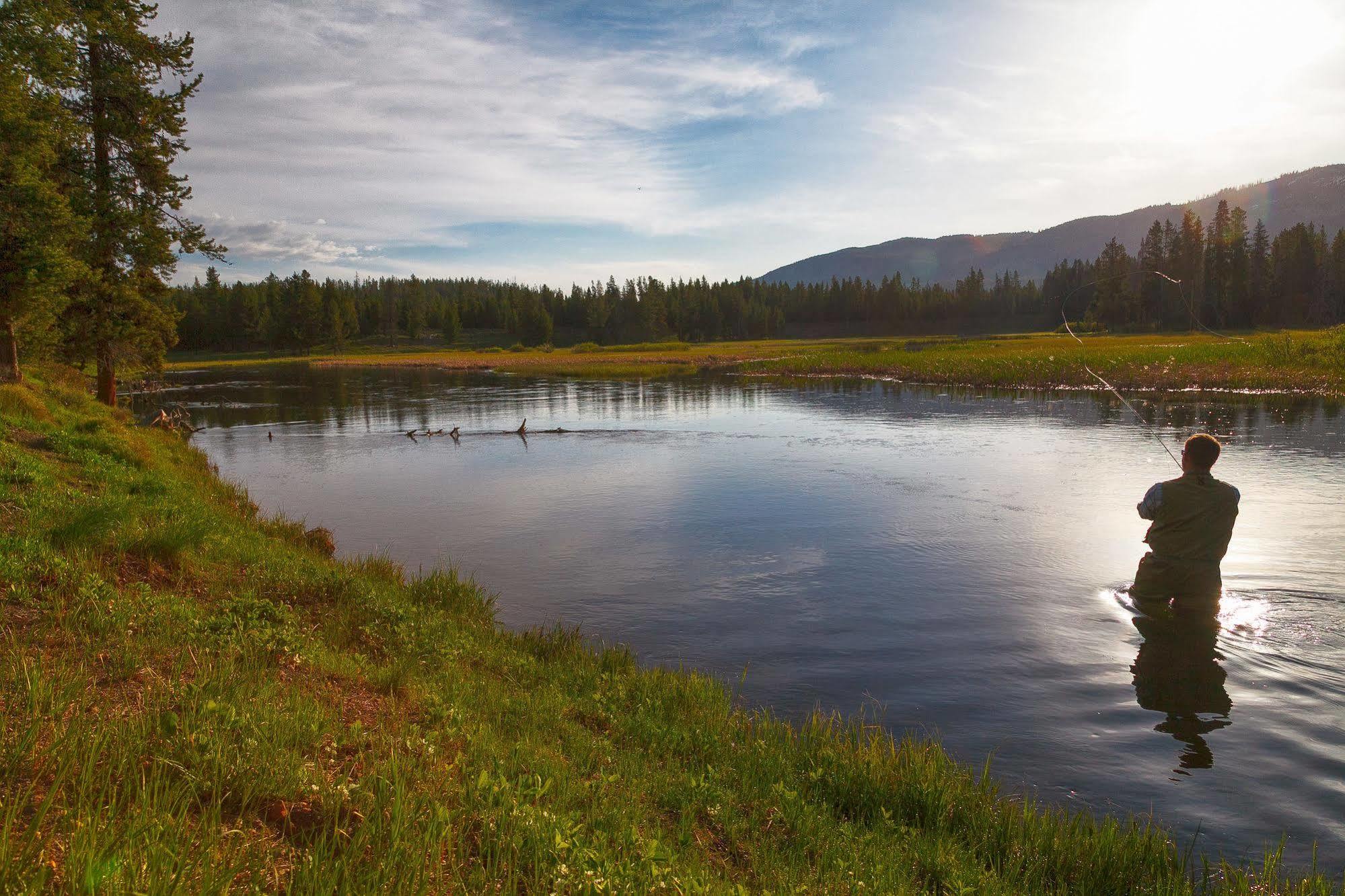 Headwaters Lodge & Cabins At Flagg Ranch Moran Kültér fotó