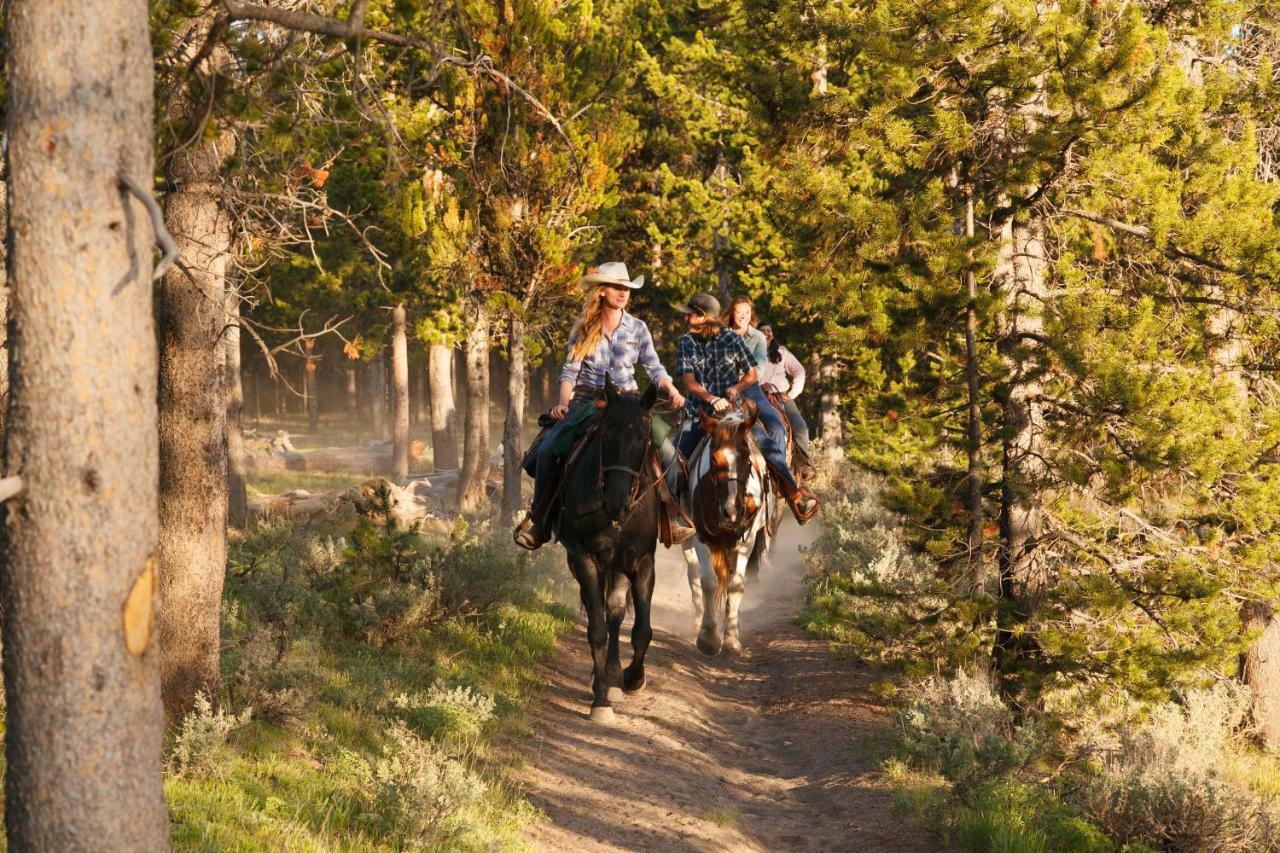 Headwaters Lodge & Cabins At Flagg Ranch Moran Kültér fotó